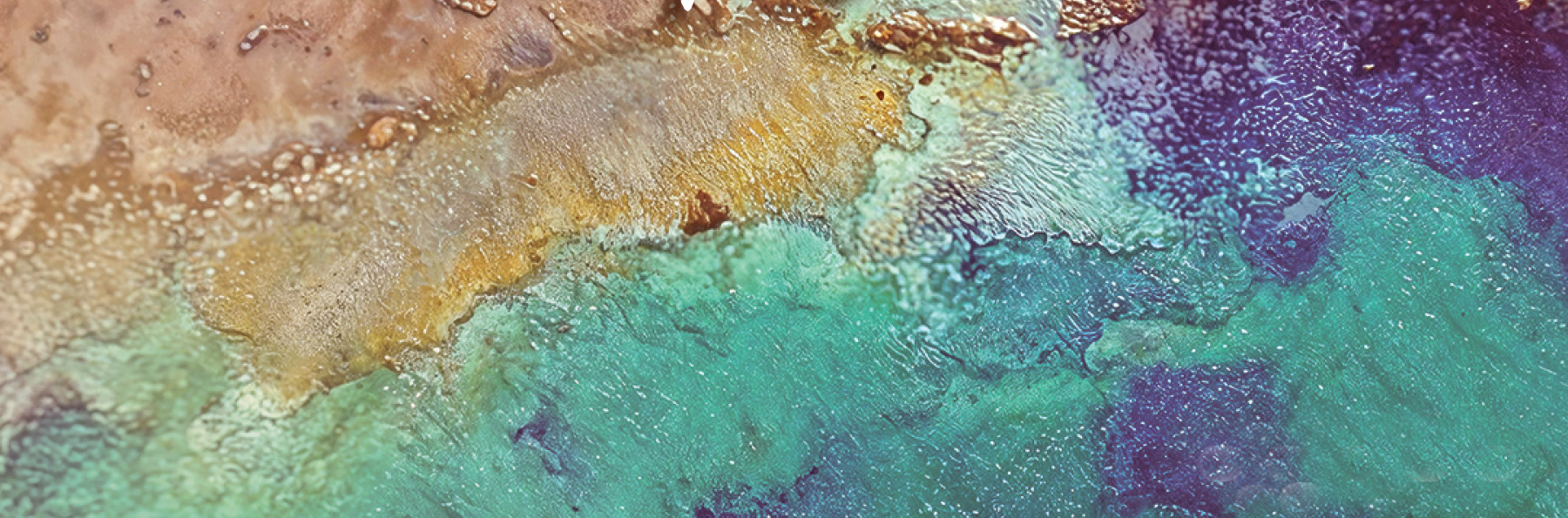 Il-programm Summer in Gozo 2026 ħareġ!