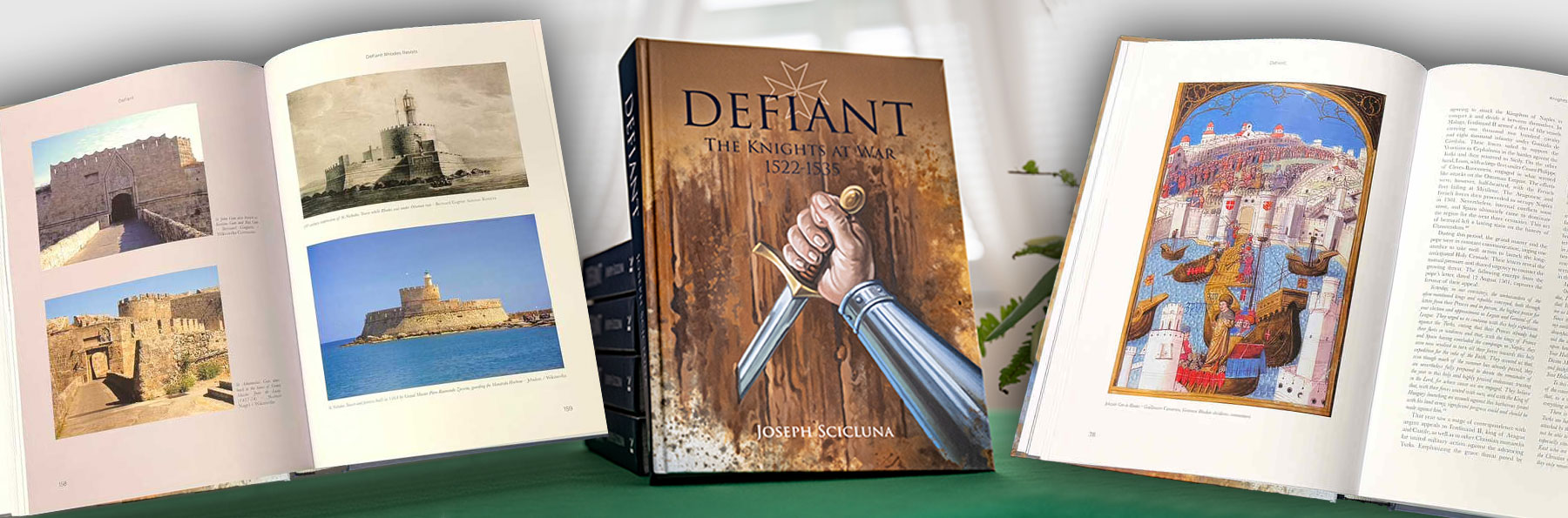 Defiant by Joseph Scicluna